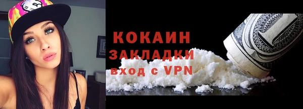 шишки Михайлов