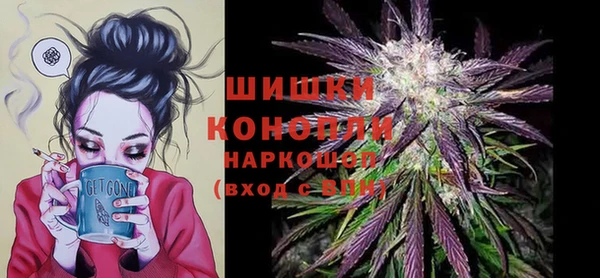 шишки Михайлов