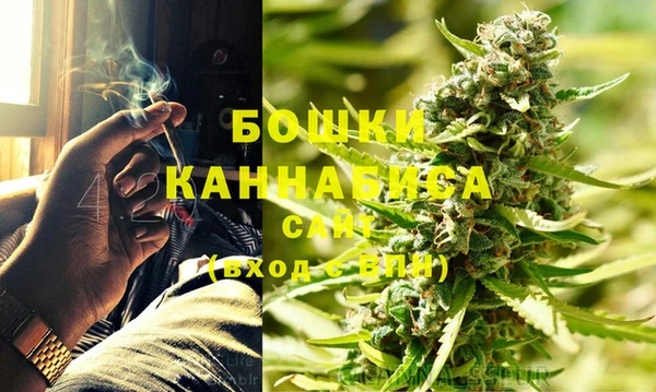 шишки Михайлов