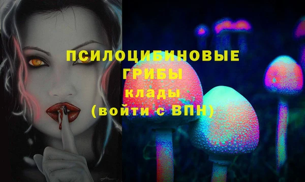 шишки Михайлов